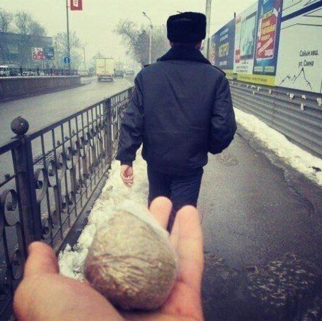 Приколы в стиле деградация