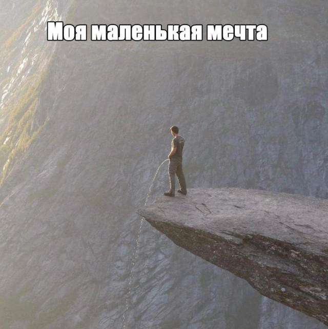 Подборка безудержного веселья