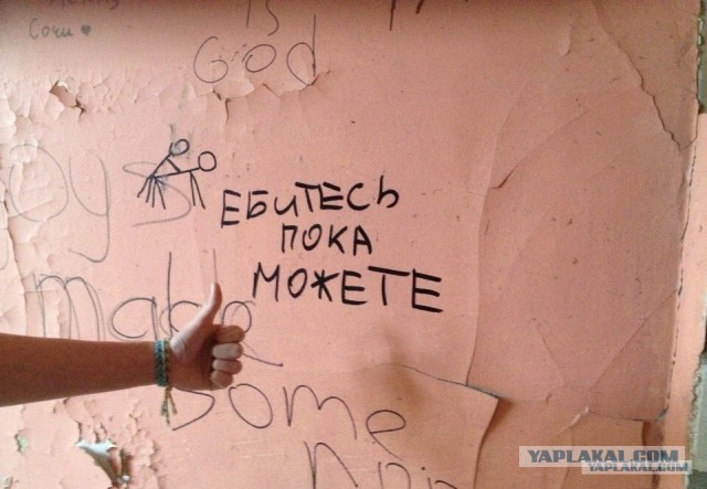 Подборка интересных и веселых картинок