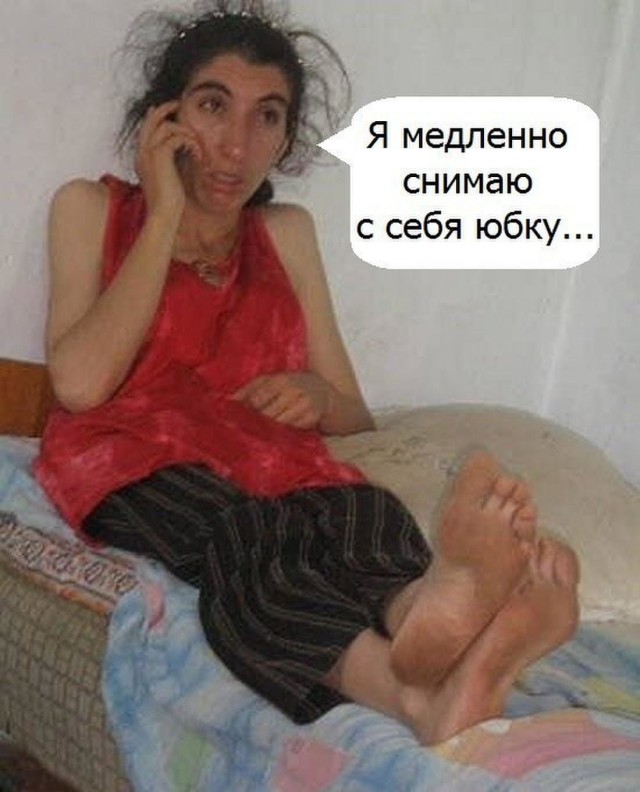 Скотсети и прочие интернеты 19.02.18