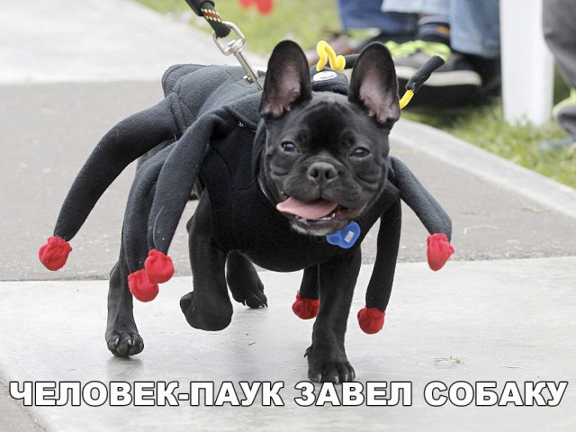 Прикольные картинки обо всём