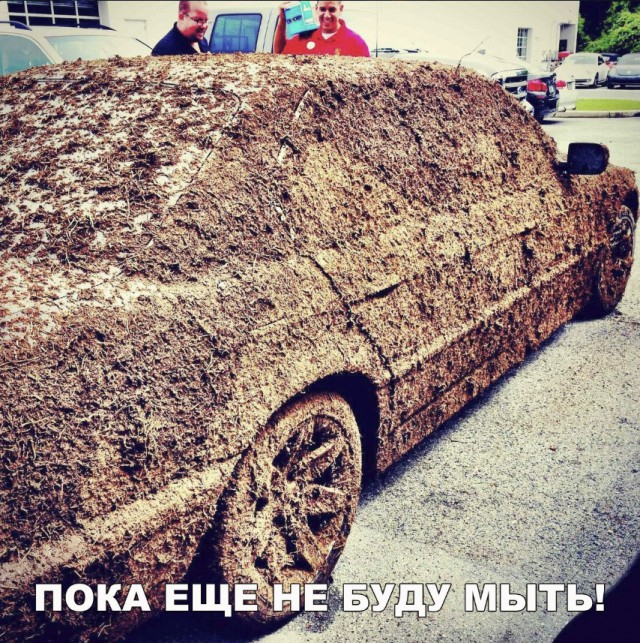 Нестандартный юмор