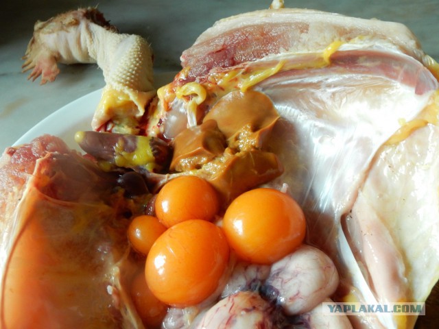 Десерт из Мяса