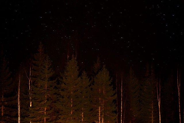 Вечером в тайге