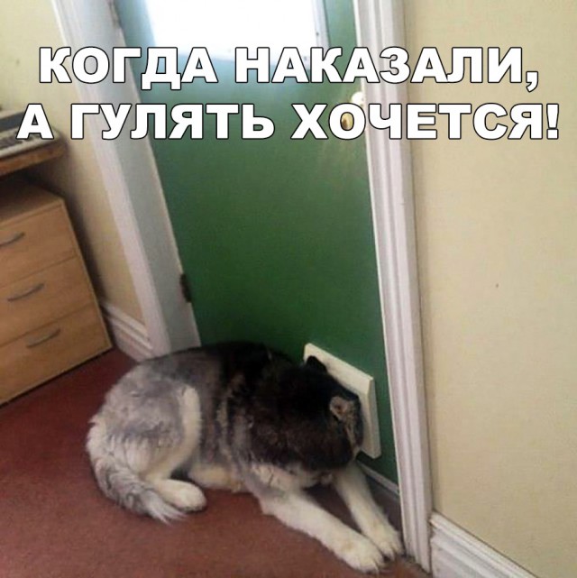 Нестандартный юмор