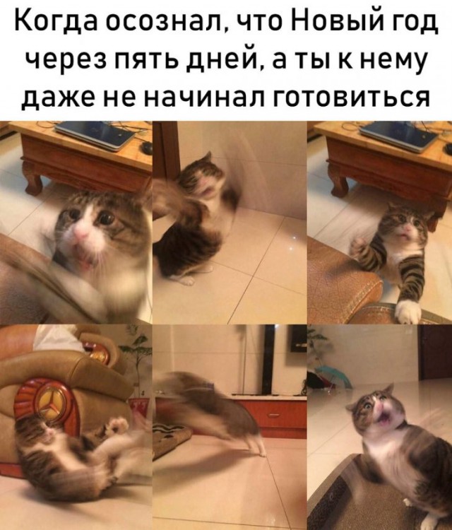 Немного аморального юмора в пятницу