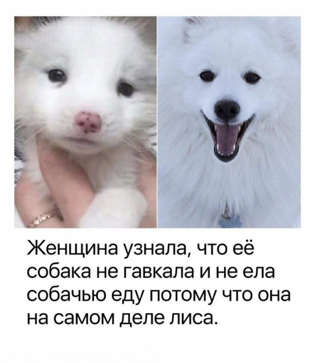 Немного картинок для настроения