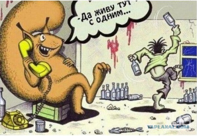 Белка угоняет самолет!