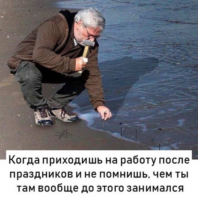 Дурацкие картинки