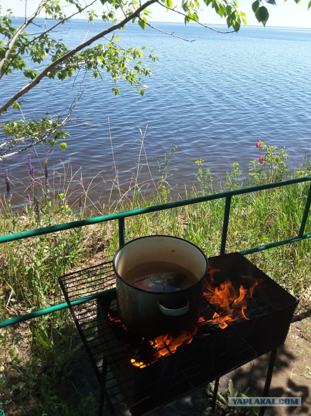 Соскучился по рыбалке