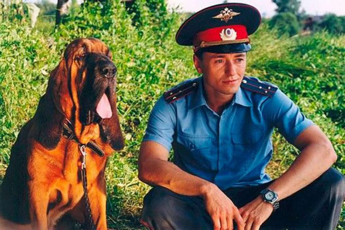 Ляпы режиссеров, снимающих про деревню