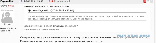 Информация ДНК - рандомный набор нуклеотидов или плод разумной деятельности?