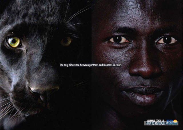 Животные учат быть людьми!