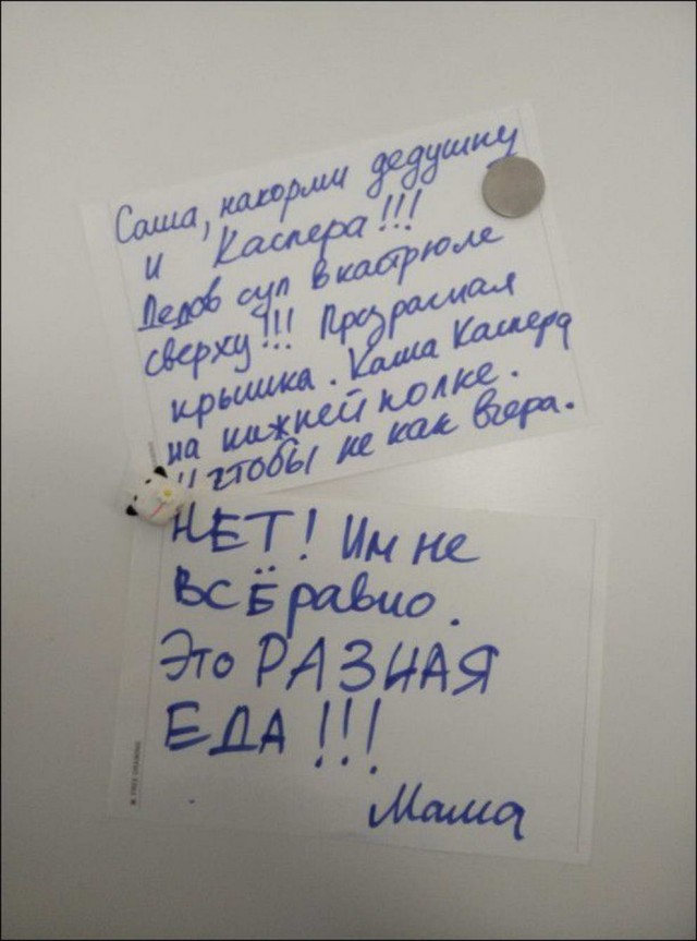 Немного картинок для настроения 28.11.19