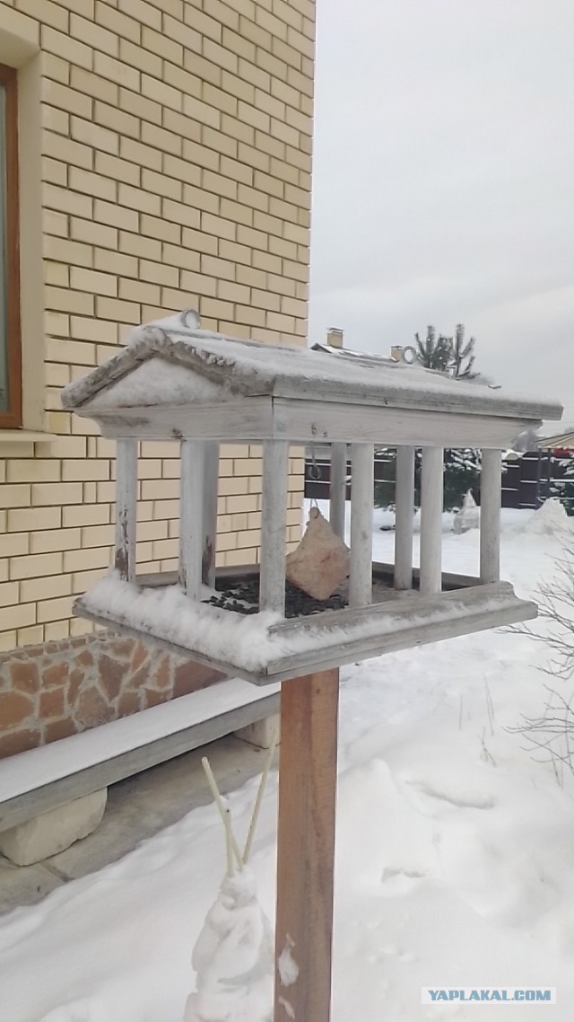 Строгаем деревяшки. Кормушка