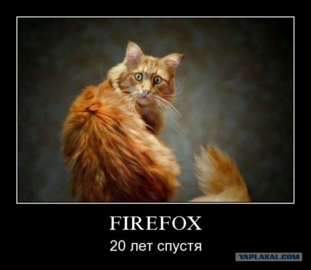 Откройте Интернет заново!