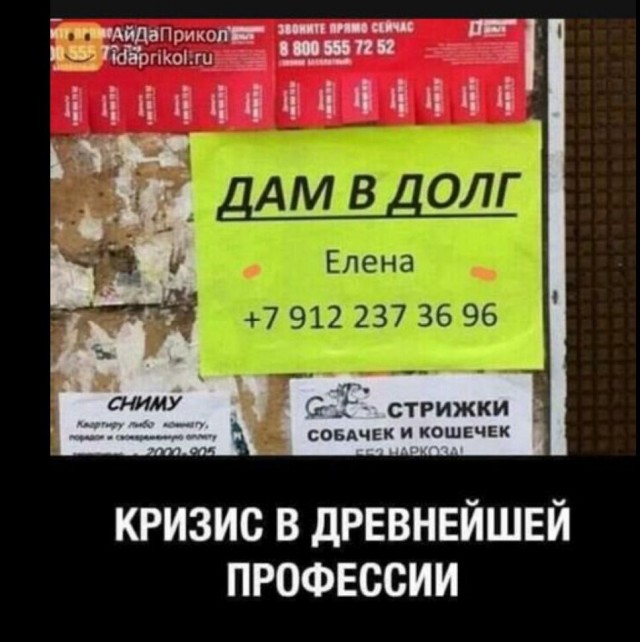 20 объявлений, которые смешат своей непосредственностью