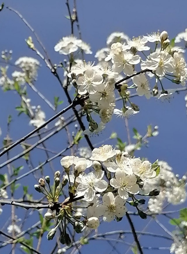 Дача, дождь, скучно