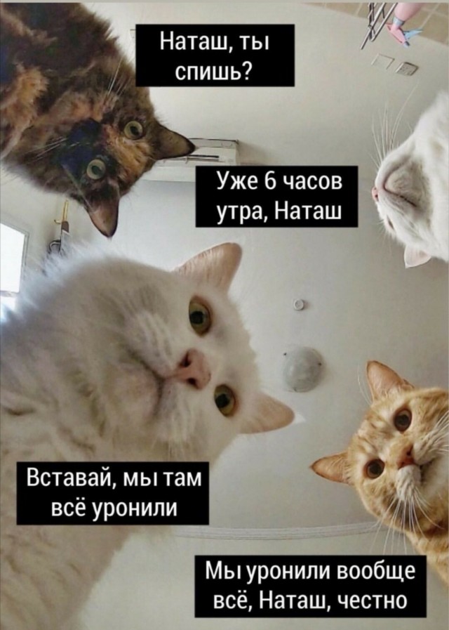 Резкий скачок энтропии