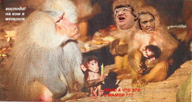 Обезьяний совет