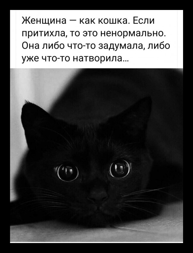 Веселые истории о нас № 207