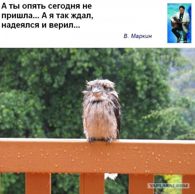 Из песни слов не выкинешь