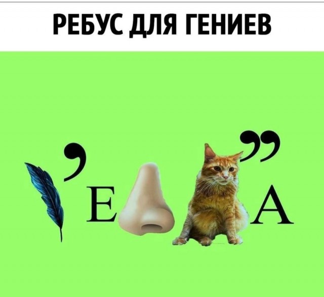 Бредзона 11.11.2020