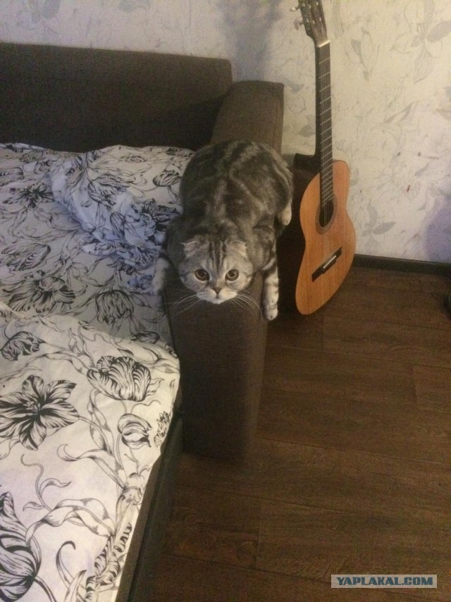 Я его боюсь...