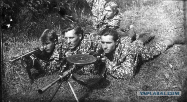 Пили бы баварское, говорите?