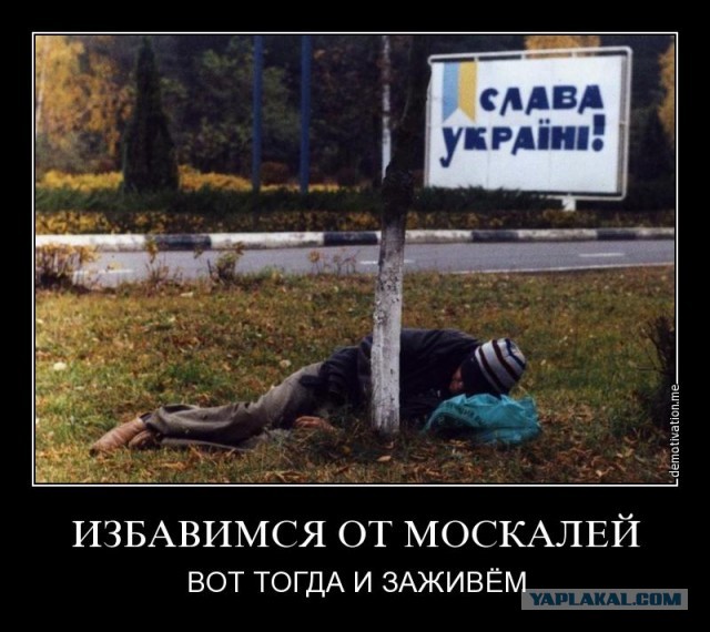 Картинки и мемы для настроения 029