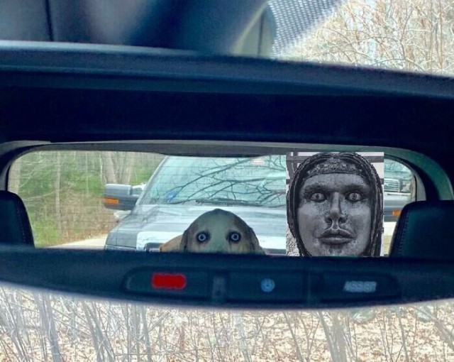 Добрые картинки с животными
