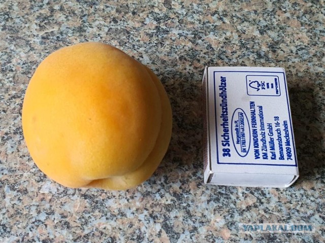 Кулинарная общалка