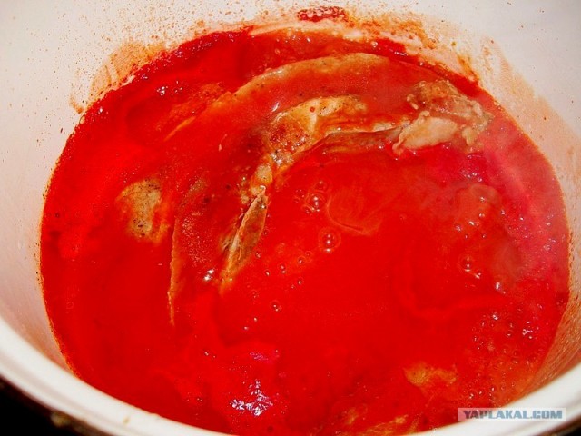 International одной книги., В память о Дженибеке.