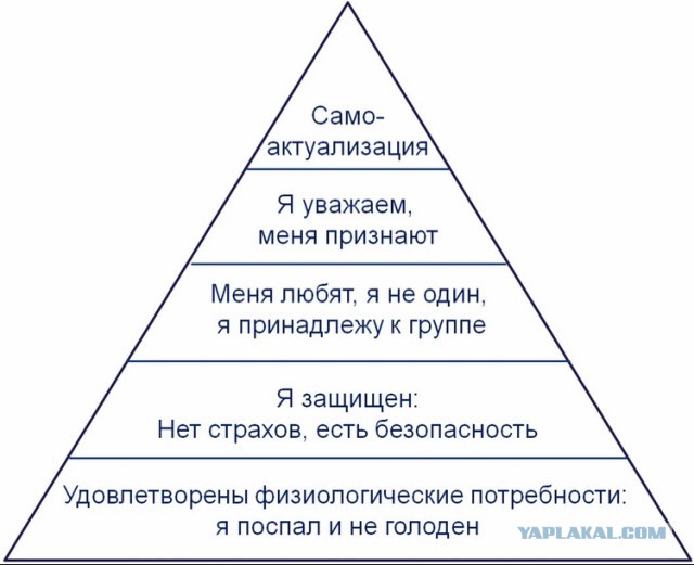 Половину Вашего дохода забирает государство