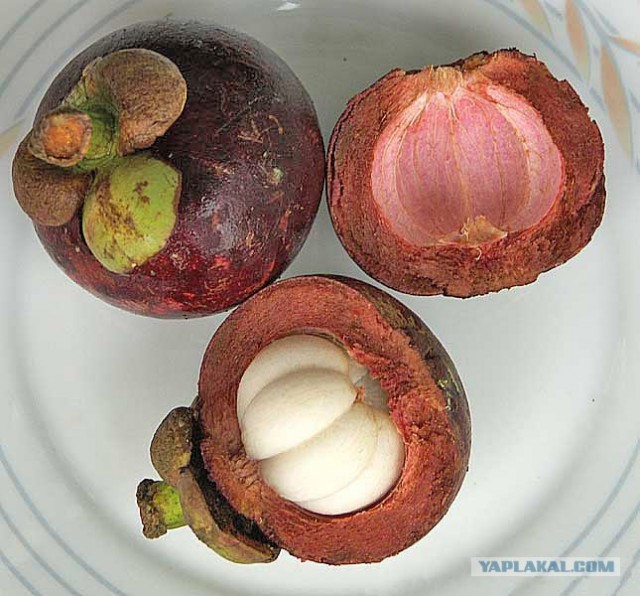 10 самых удивительных фруктов и овощей