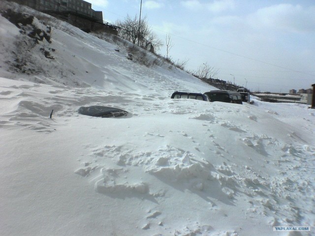 Я люблю Владивосток