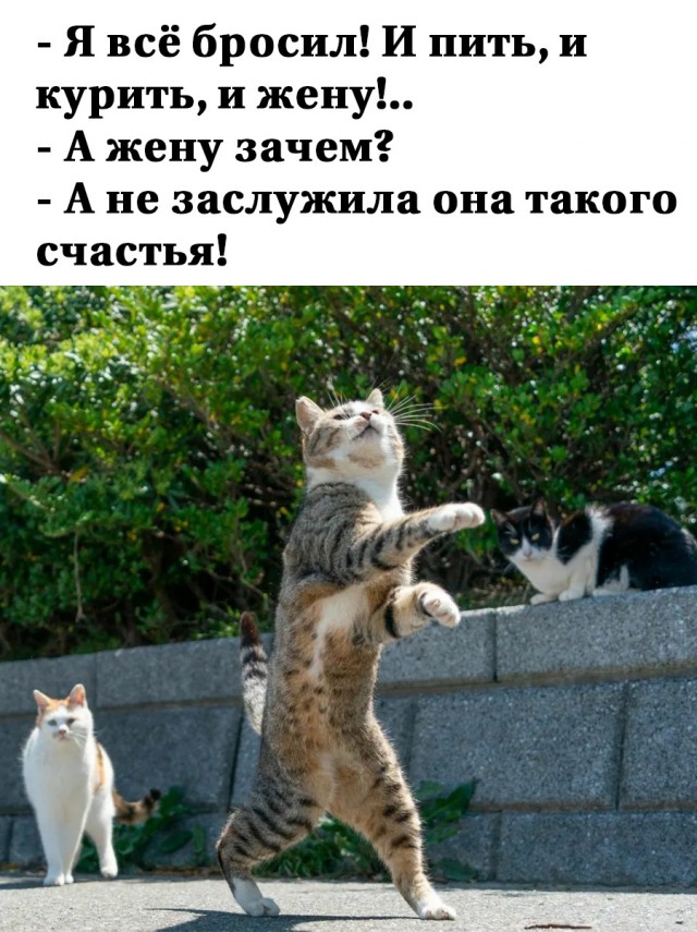 Немного картинок и прочей хреноты Vol. 16