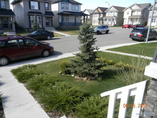 Это Калгари,сынок.