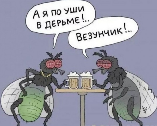 Настоящий гурман
