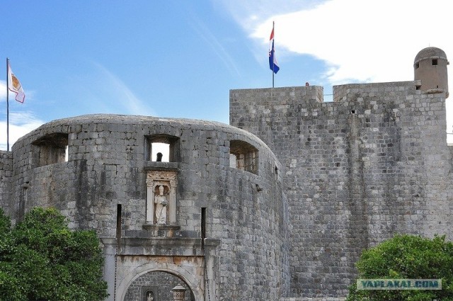 Любовь с первого взгляда