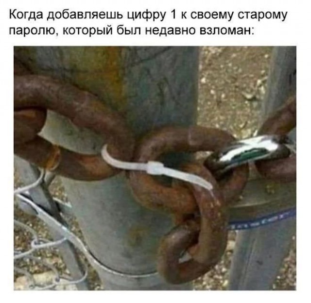 Немного картинок."Колбасный ветер". Август