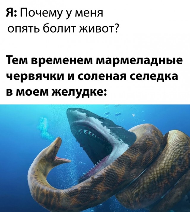 Весёлый полтишок 01.09.22