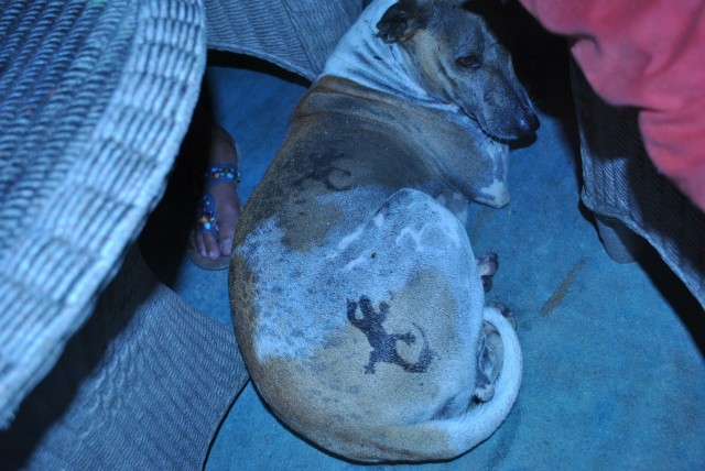 Тайланд: Бангкок, Паттайя, Ко Самет