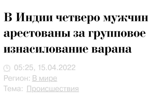 Весёлый полтишок 12.10.22