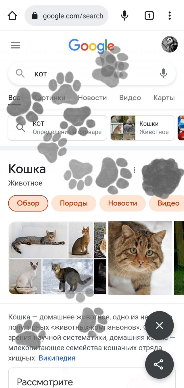Пасхалка из Google
