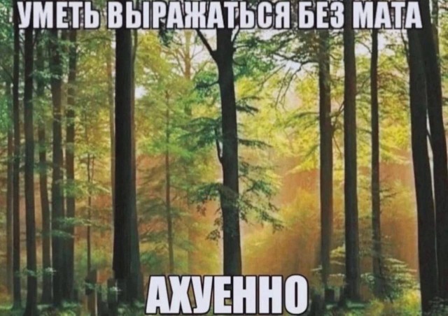 Весёлый полтишок 18.11.22