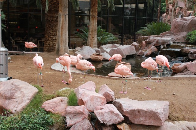 Деревенская Америка