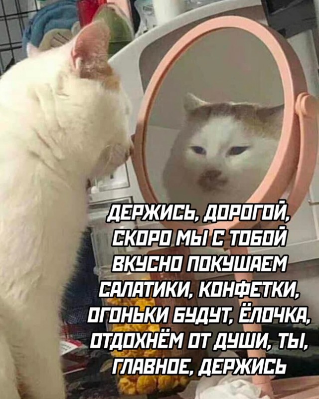 Немного картинок для настроения - 127