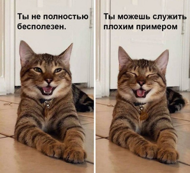 Картинки и мемы для настроения - 125
