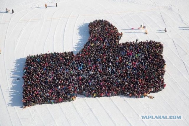 Медведь неожиданно появился на съемках